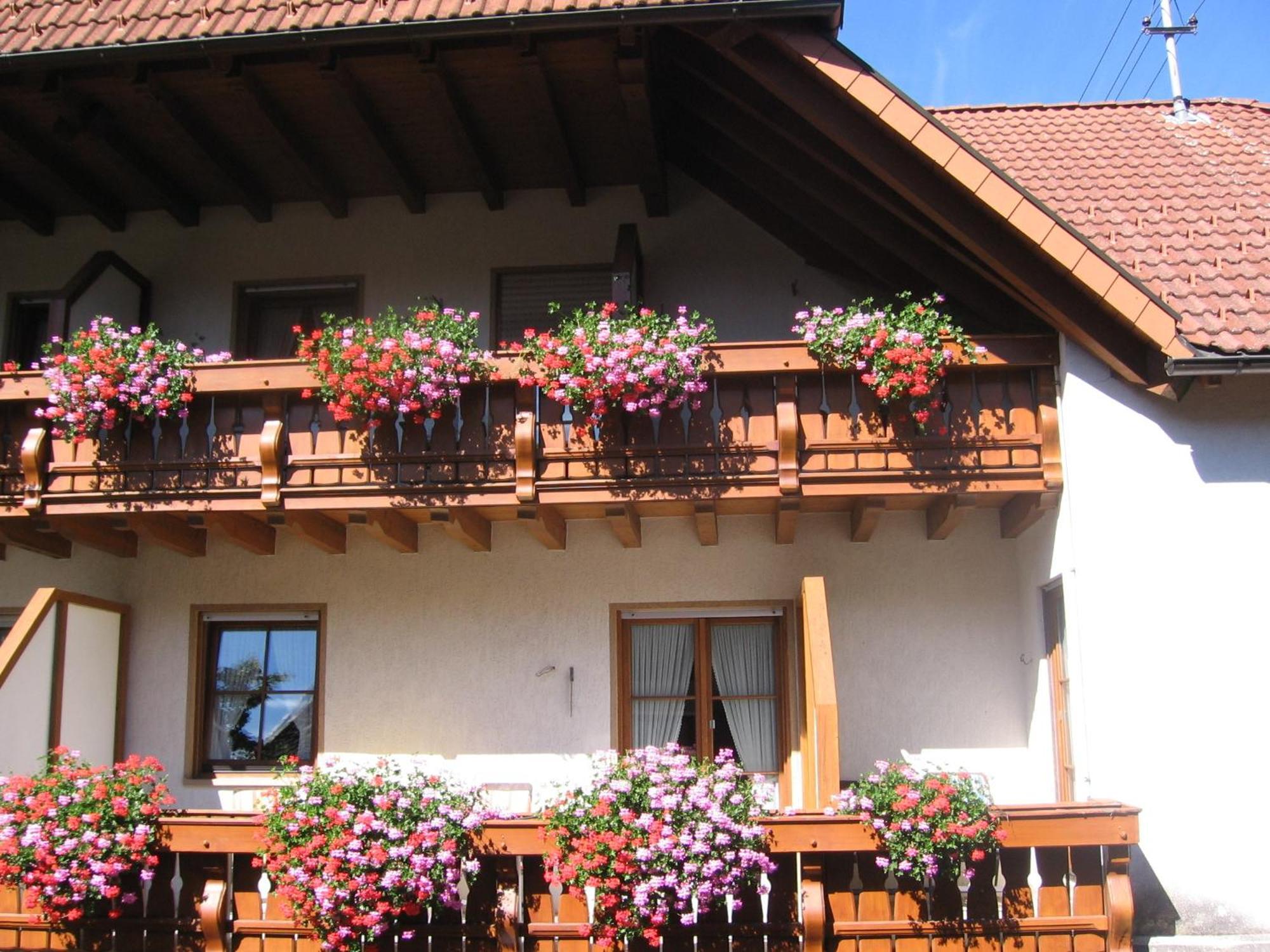 Hotel Gasthaus Zum Hirschen Simonswald Exterior foto